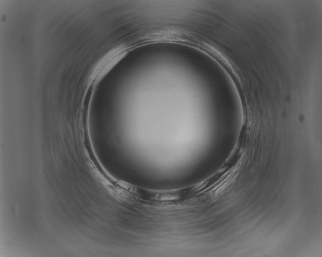 X0000077991434200611031409