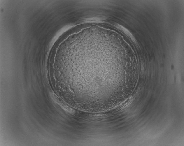 X0000077991435200611031409
