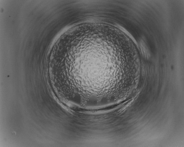 X0000077991437200611031409