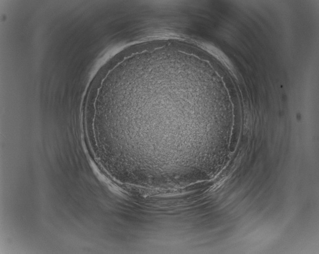 X0000077991439200611031409