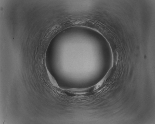 X0000077991441200611031409