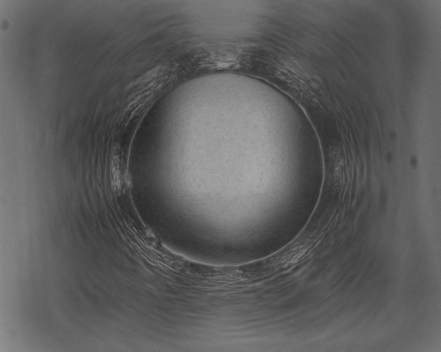 X0000077991442200611031408