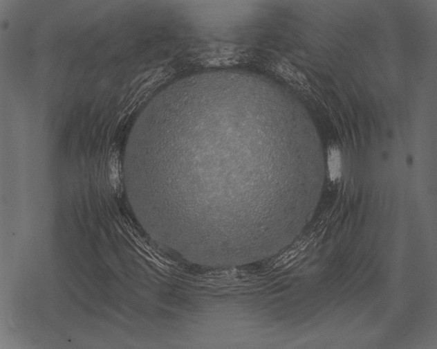 X0000077991444200611031408