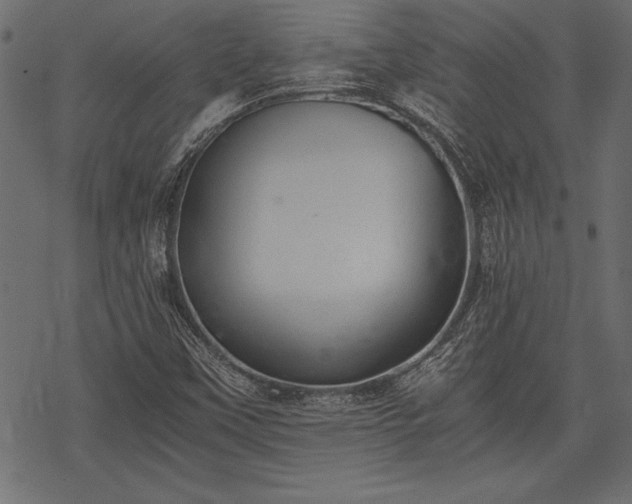 X0000077991451200611031408