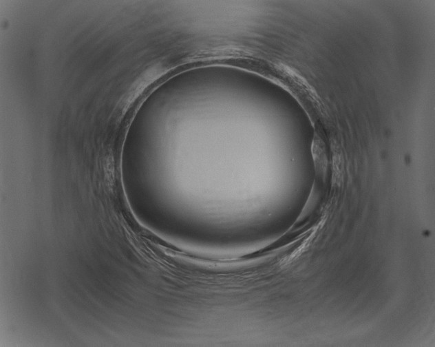 X0000077991457200611031408