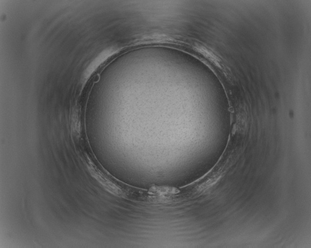 X0000077991458200611031408