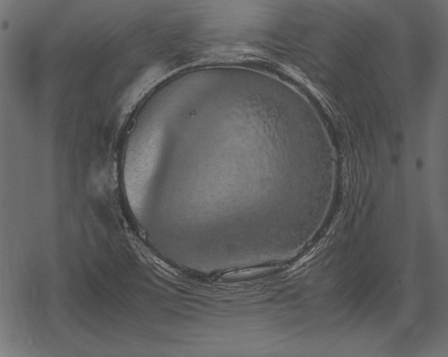 X0000077991459200611031408