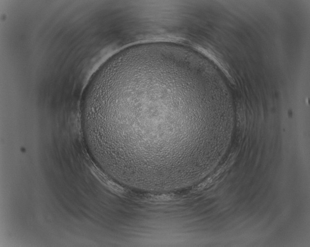 X0000077991460200611031408