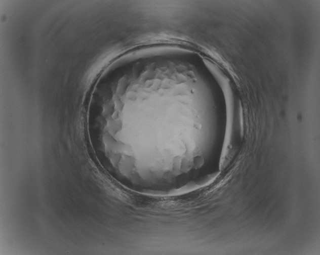 X0000077991463200611031408