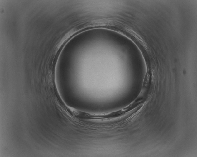 X0000077991465200611031408