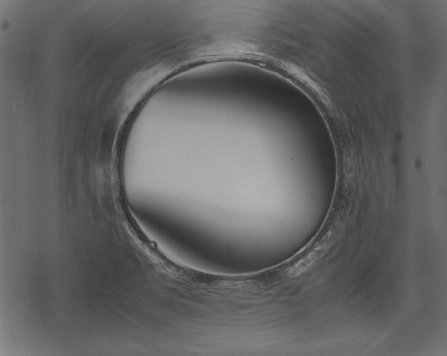 X0000077991469200611031408