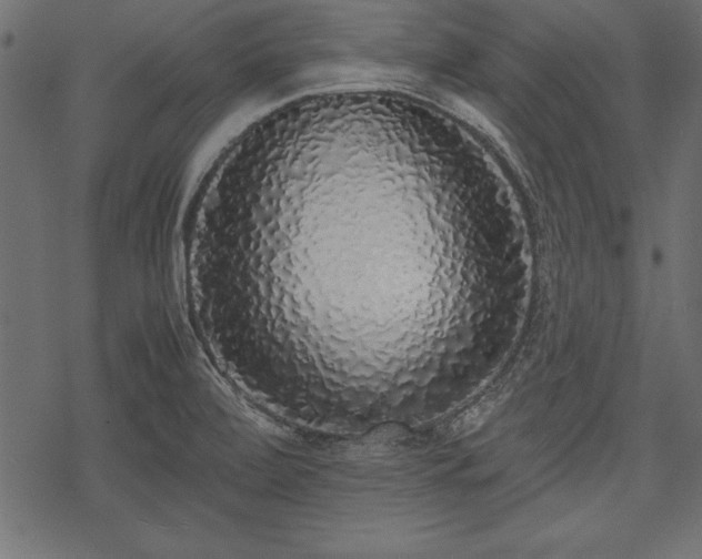 X0000077991472200611031408