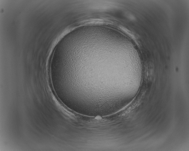 X0000077991475200611031408