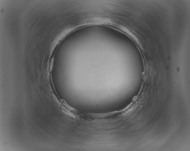 X0000077991477200611031408