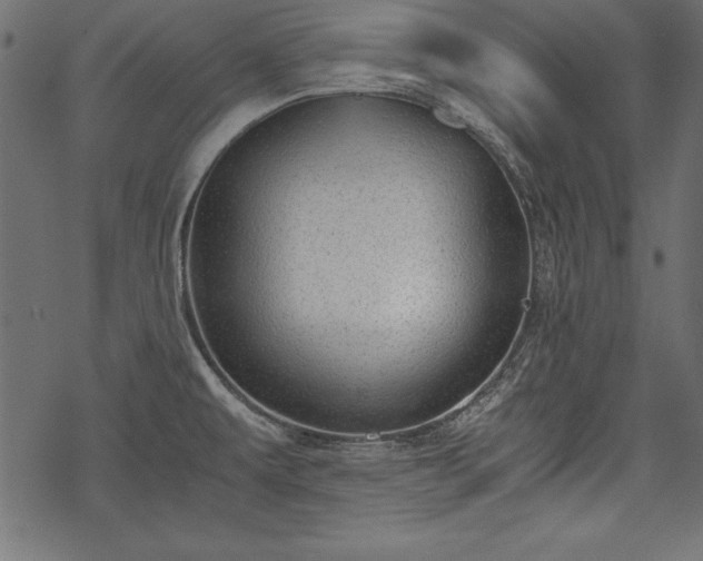 X0000077991479200611031408