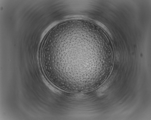 X0000077991482200611031408