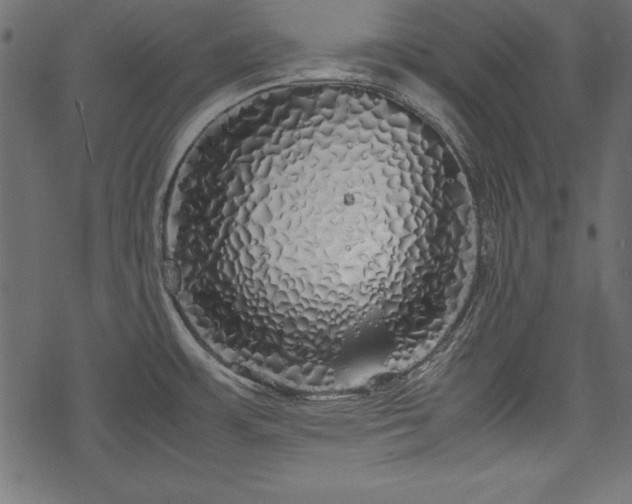 X0000077991483200611031408