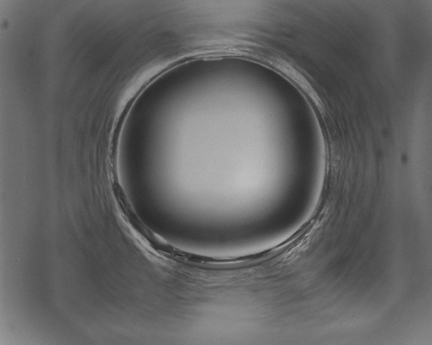 X0000077991485200611031408