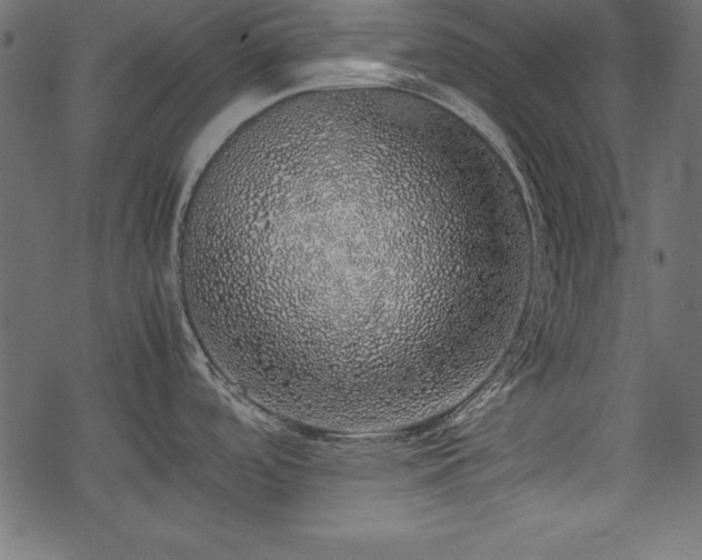 X0000077991488200611031408
