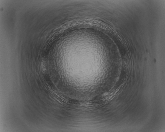 X0000077991490200611031407
