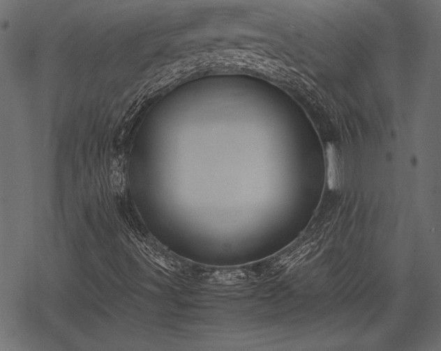 X0000077991491200611031407