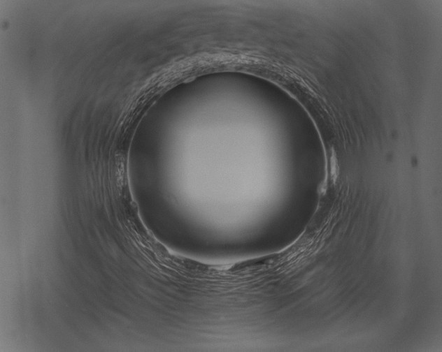 X0000077991492200611031407