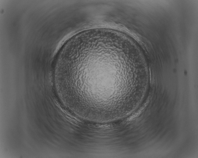 X0000077991501200611031407