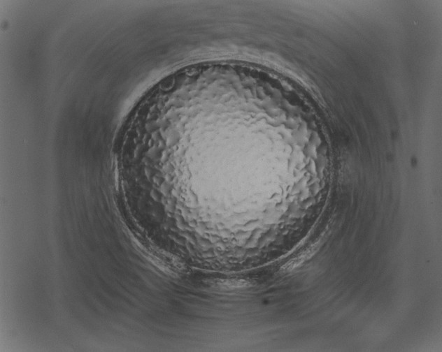 X0000077991509200611031407