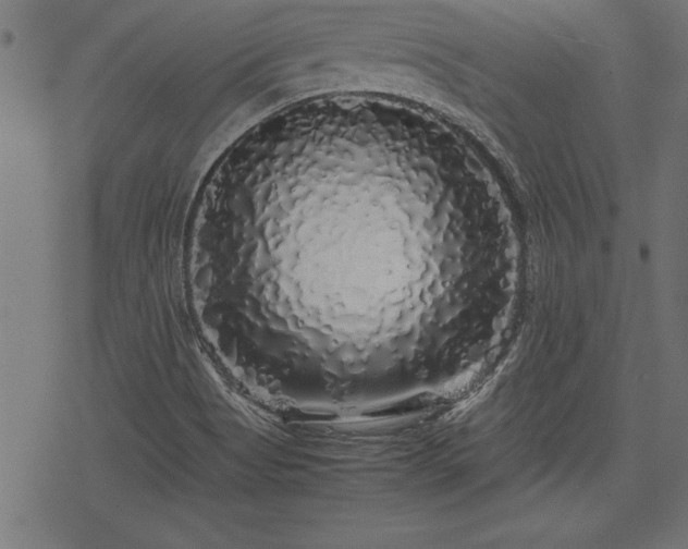 X0000077991513200611031407
