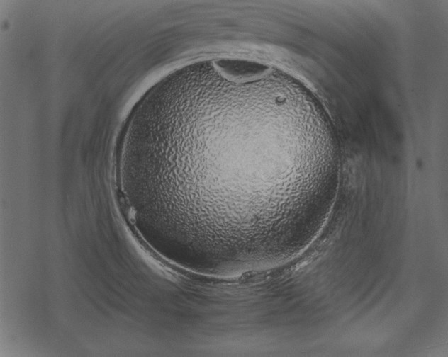 X0000077991523200611031408