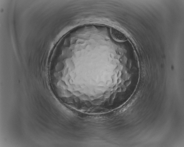 X0000077991525200611031408