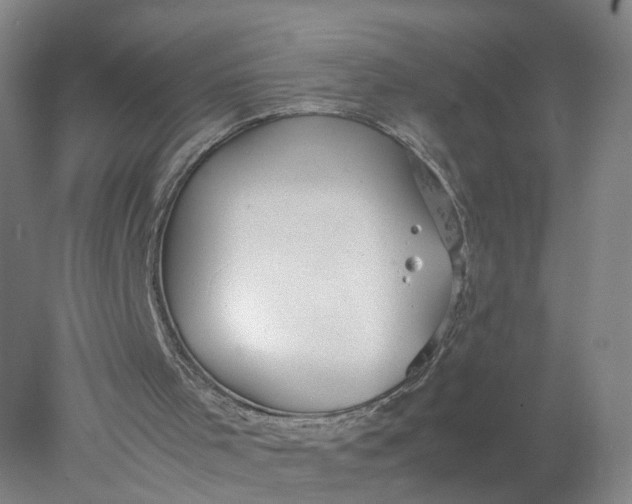 X0000077990001200611101740