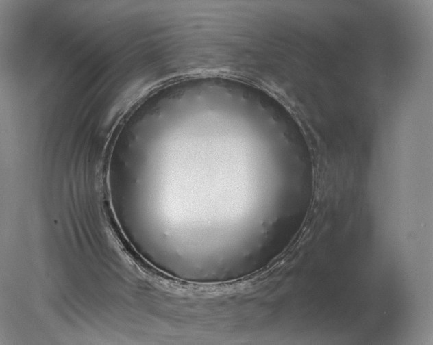 X0000077990002200611101740