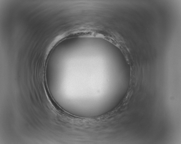 X0000077990003200611101740