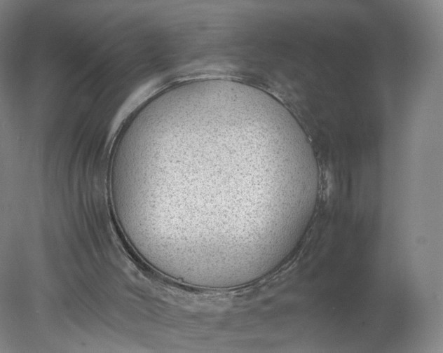 X0000077990004200611101740