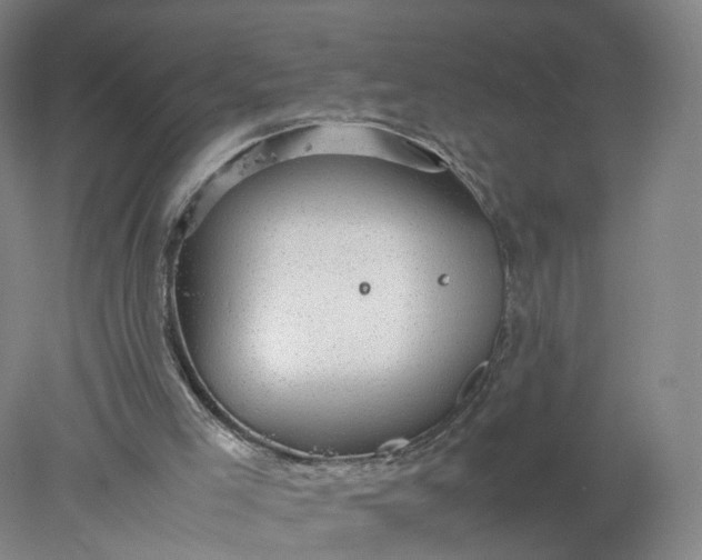 X0000077990005200611101740