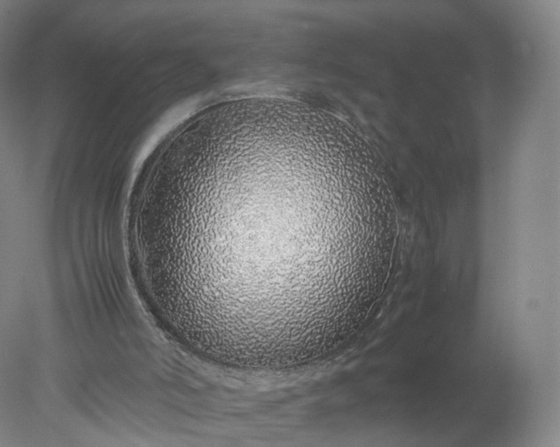 X0000077990006200611101740