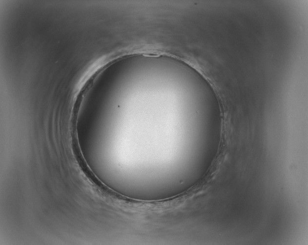 X0000077990007200611101740