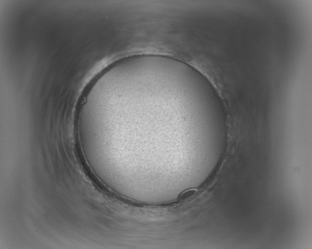 X0000077990008200611101740