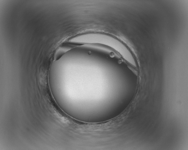 X0000077990009200611101740