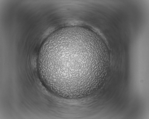 X0000077990010200611101740