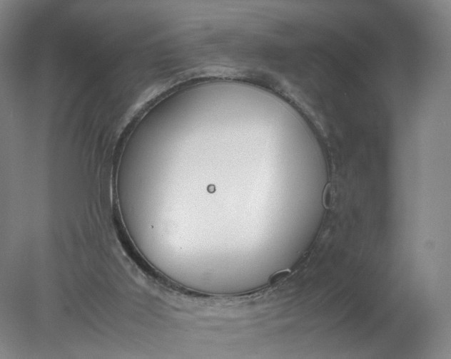 X0000077990011200611101740