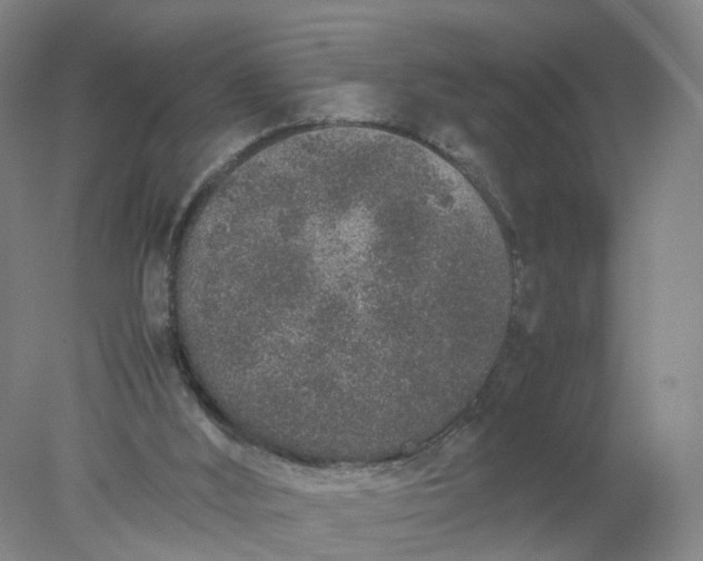 X0000077990012200611101740