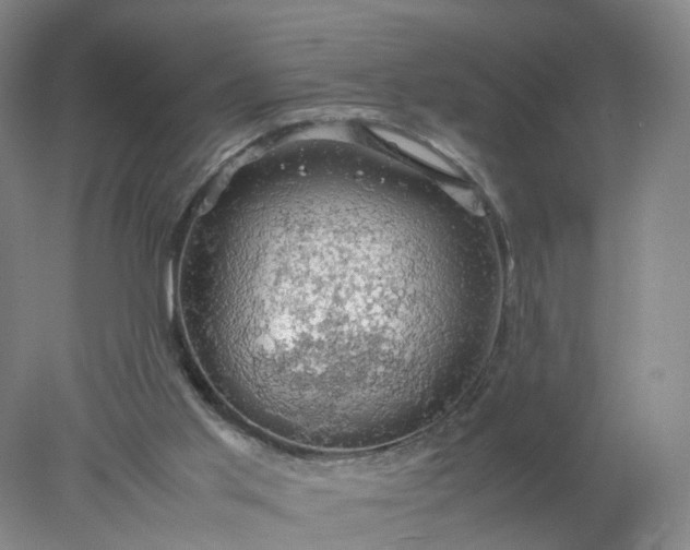 X0000077990013200611101740