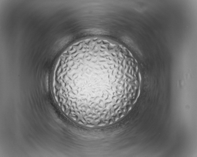 X0000077990014200611101740