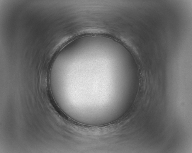 X0000077990015200611101740