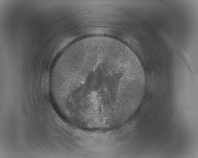 X0000077990016200611101740