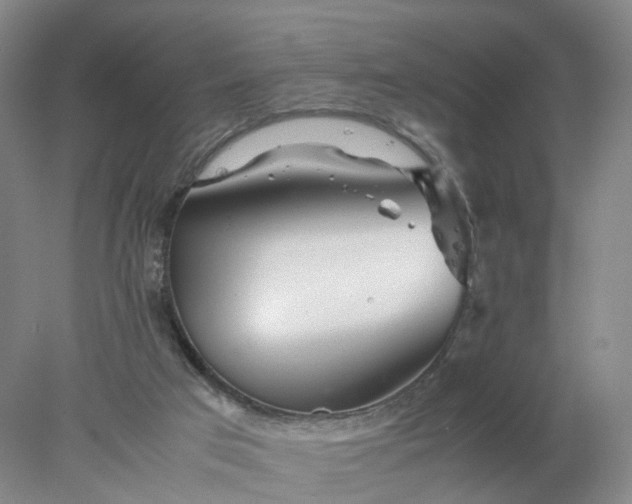 X0000077990017200611101740