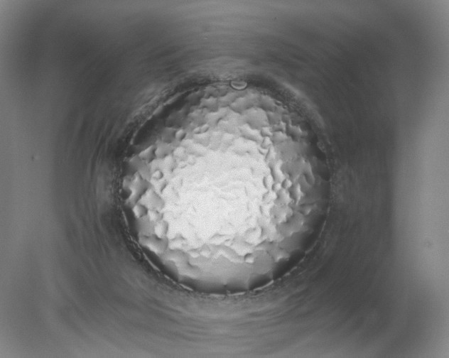 X0000077990018200611101740