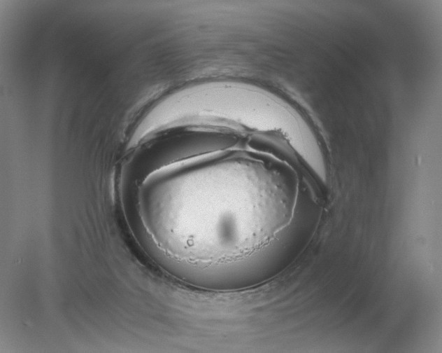 X0000077990019200611101740